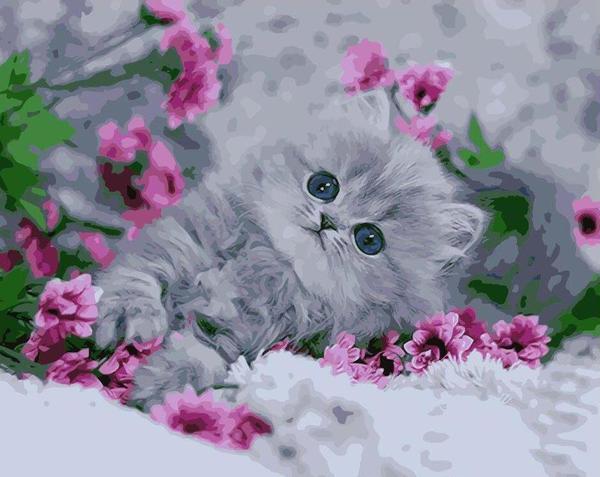 Fluffy Kitten Among Pink Flowers - 40x50 cm paint by numbers kit