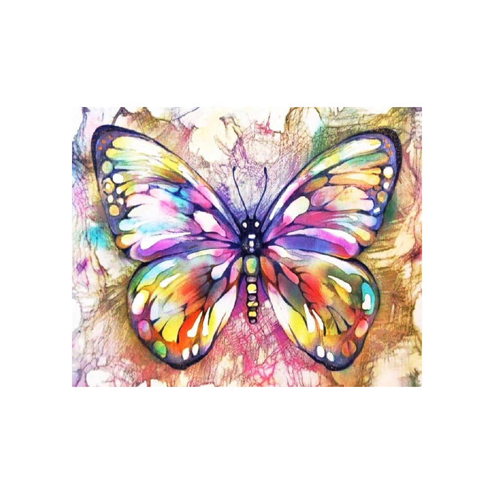Rainbow Butterfly - 40x50 cm paint by numbers kit
