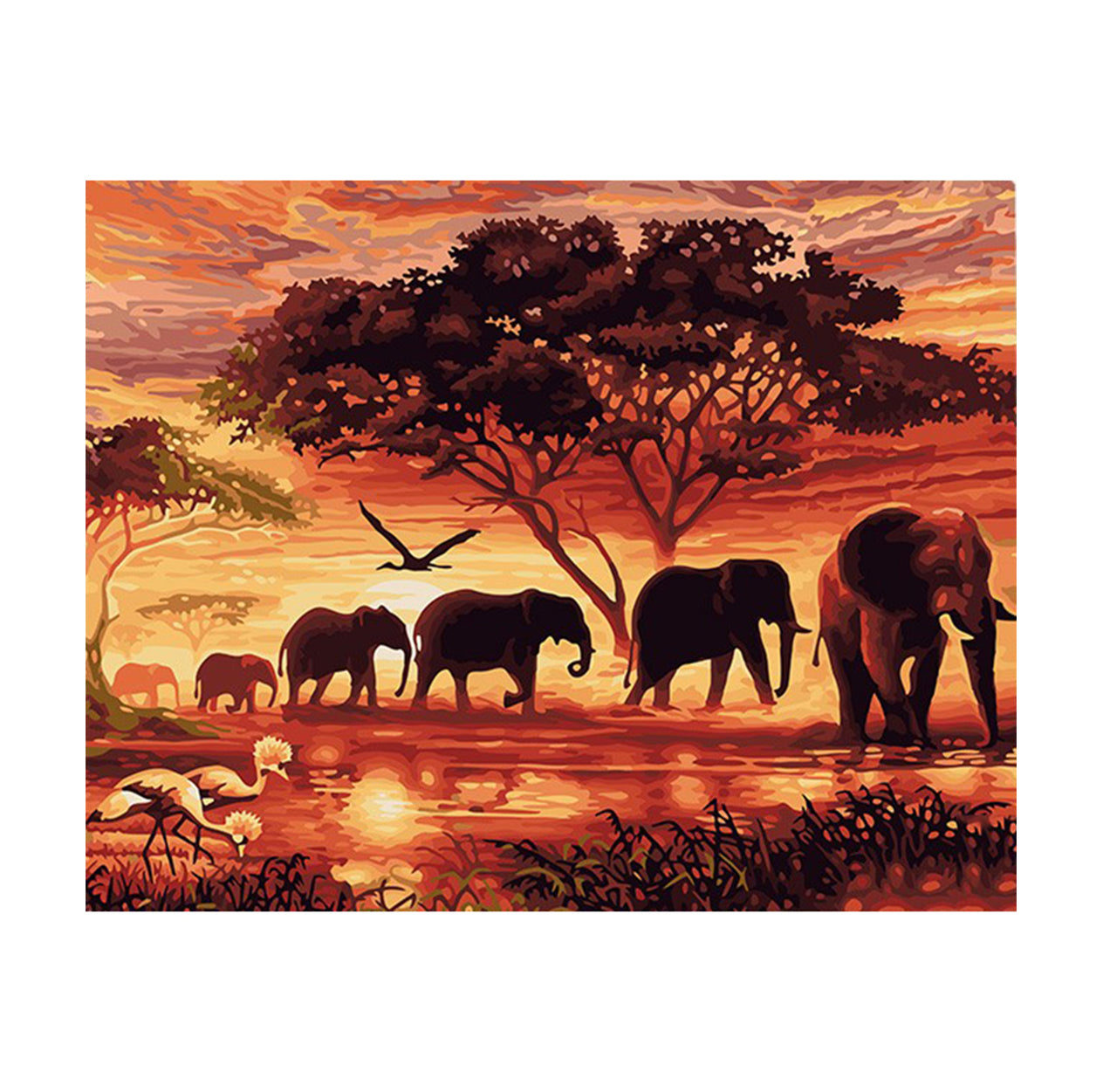 Elephant Family at Sunset - 40x50 cm paint by numbers kit