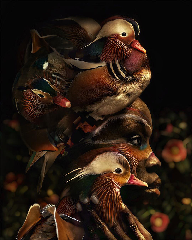 Mandarin Ducks Portrait - 40x50 cm paint by numbers kit