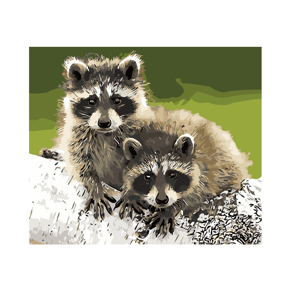 Raccoon Pair - 40x50 cm paint by numbers kit