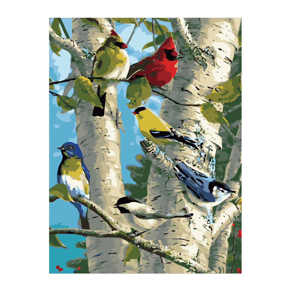 Songbirds in Birch Trees - 40x50 cm paint by numbers kit