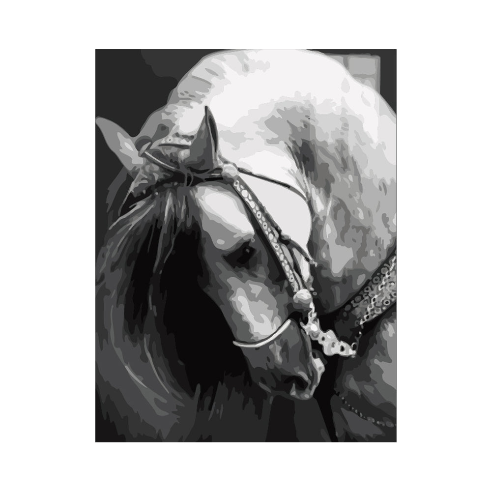 Elegant Horse Portrait - 40x50 cm paint by numbers kit