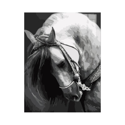 Elegant Horse Portrait - 40x50 cm paint by numbers kit