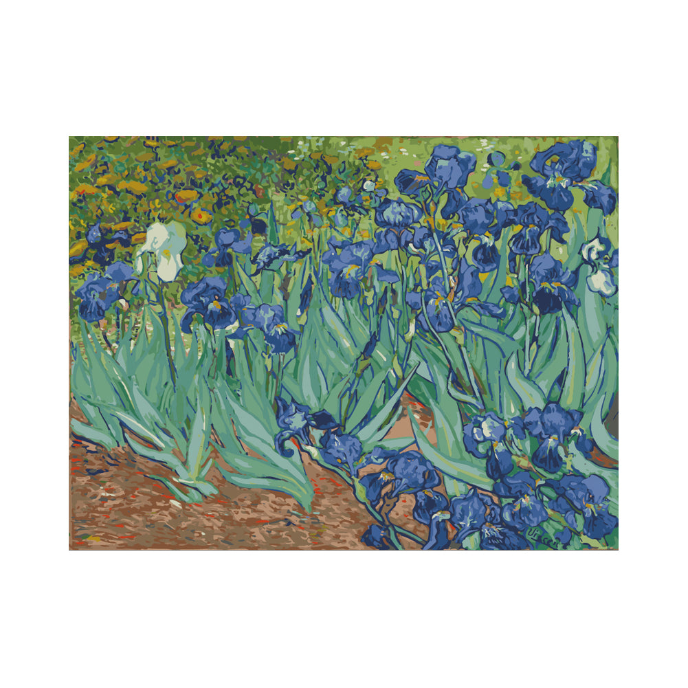 Blue Iris Garden - 40x50 cm paint by numbers kit