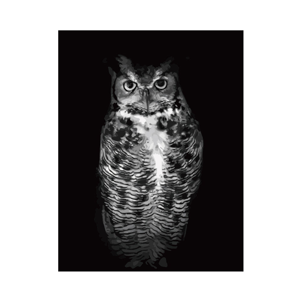 Monochrome Owl Portrait - 40x50 cm paint by numbers kit