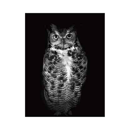 Monochrome Owl Portrait - 40x50 cm paint by numbers kit