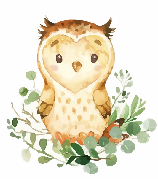 Cute Baby Owl paint by numbers kit