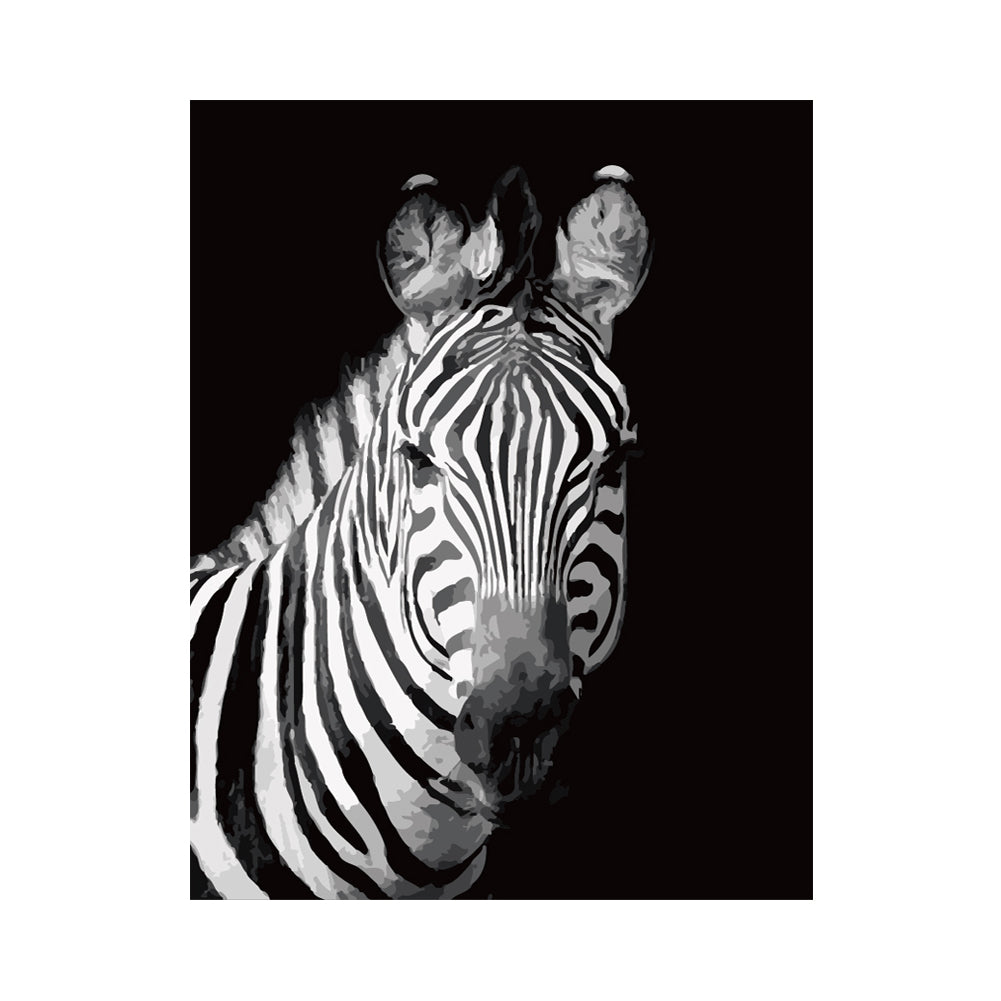Monochrome Zebra Portrait - 40x50 cm paint by numbers kit