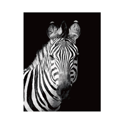 Monochrome Zebra Portrait - 40x50 cm paint by numbers kit