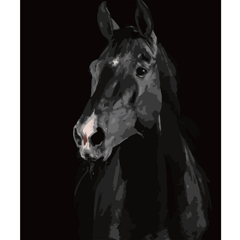 Black Horse Portrait - 40x50 cm paint by numbers kit