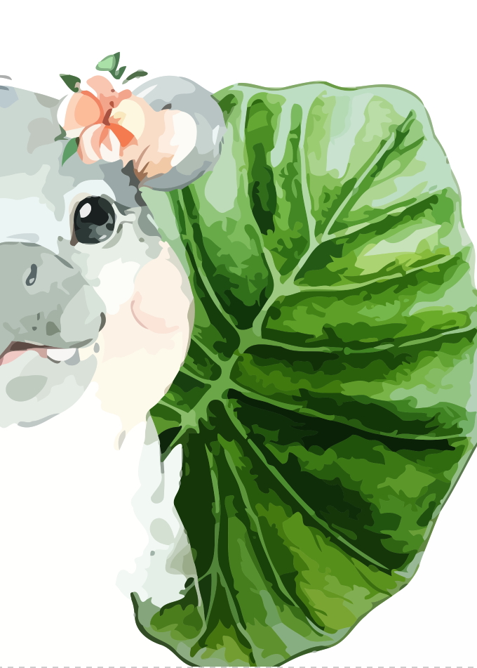 Cartoon shark with a flower on its head peeking out from behind a large green leaf