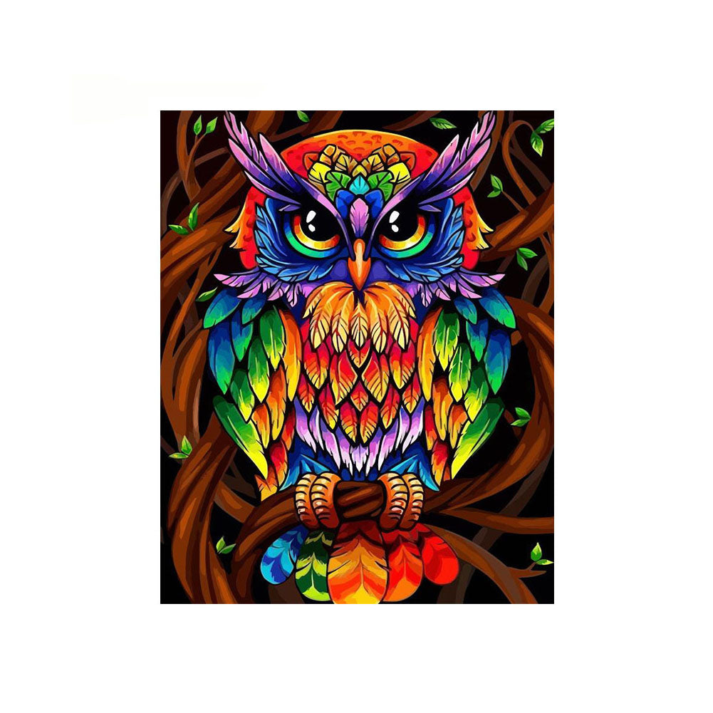 Rainbow Owl on Branch - 40x50 cm paint by numbers kit