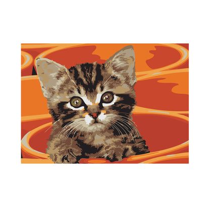 Cute Tabby Kitten - 40x50 cm paint by numbers kit