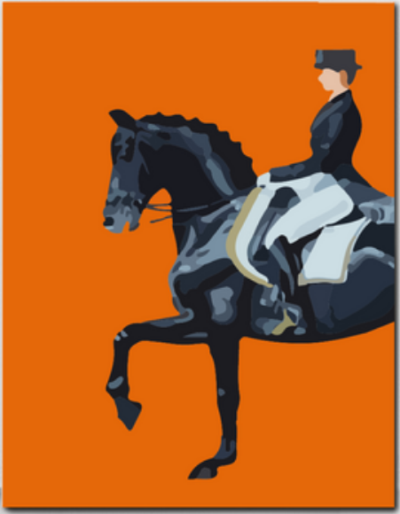 Black Horse Dressage - 40x50 cm