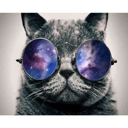 Galaxy Sunglasses Cat - 40x50 cm paint by numbers kit