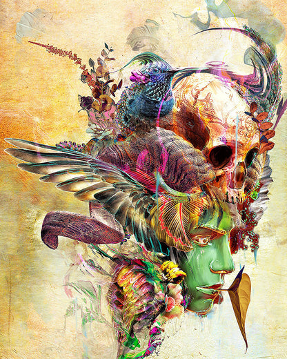 Feathered Skull Vision - 40x50 cm paint by numbers kit