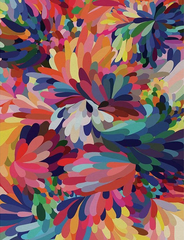 Colorful Abstract Feathers - 40x50 cm paint by numbers kit