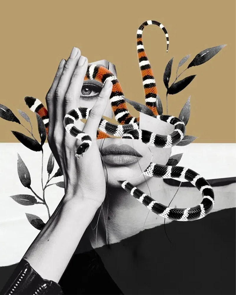 Serpent Vision Collage - 40x50 cm paint by numbers kit