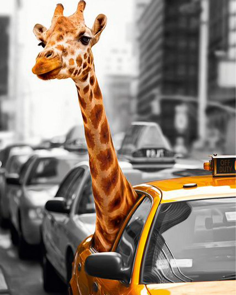 Giraffe Taxi Adventure - 40x50 cm paint by numbers kit