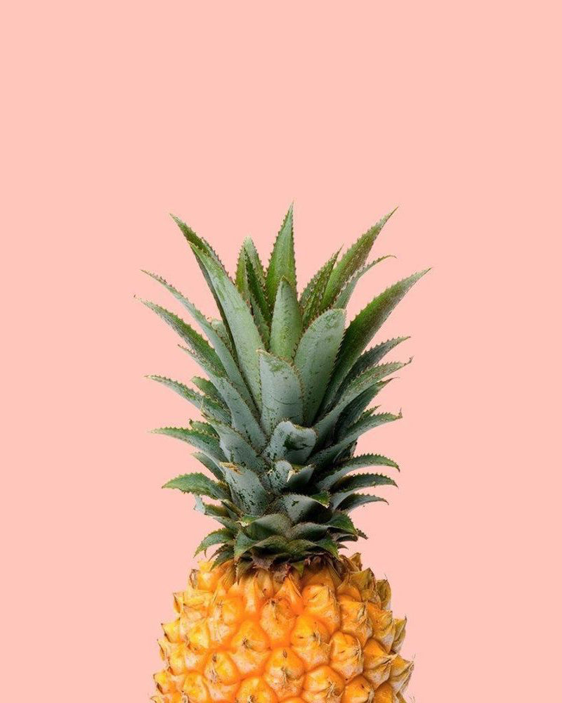 Minimal Pineapple on Blush Pink - 40x50 cm paint by numbers kit