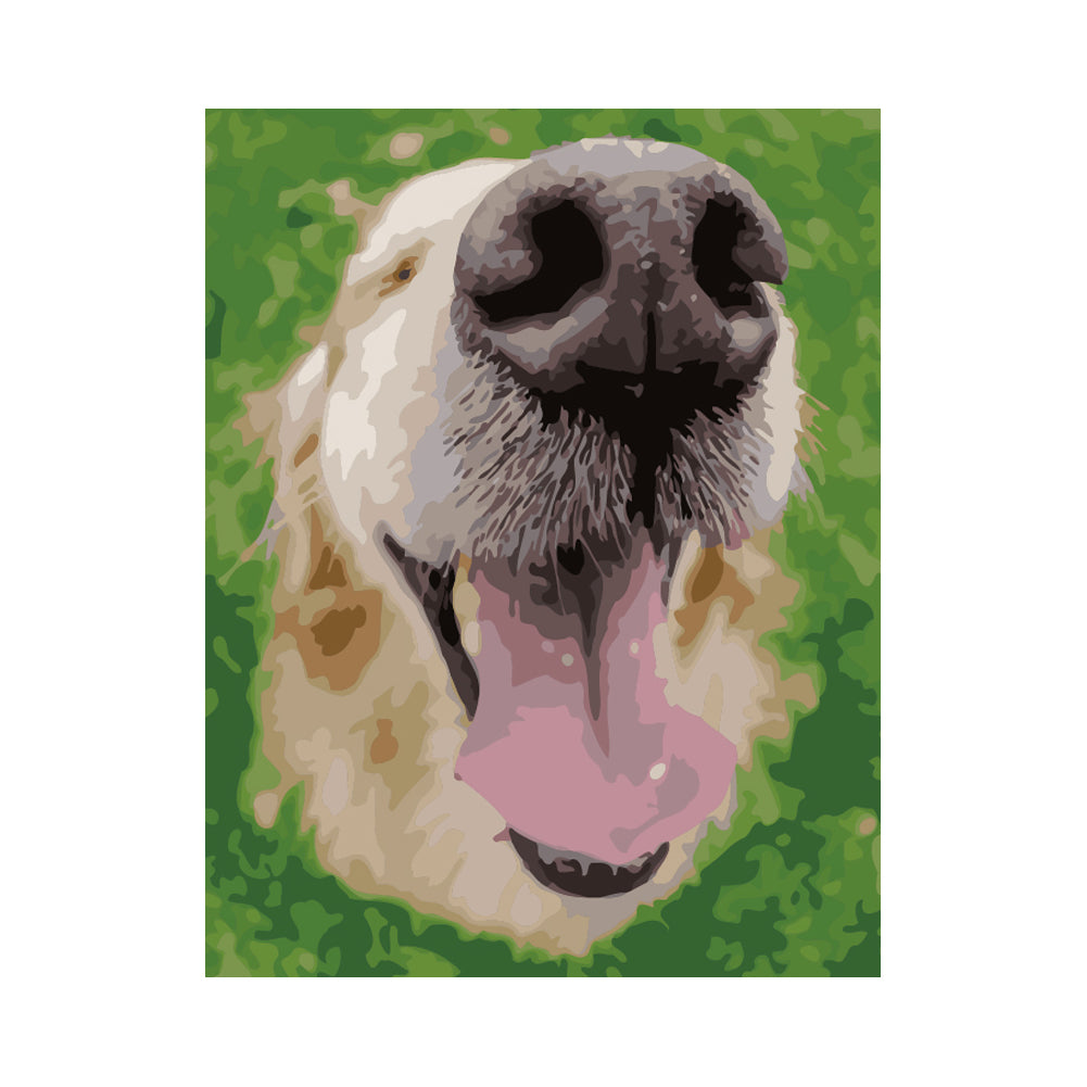 Happy Golden Retriever - 40x50 cm paint by numbers kit