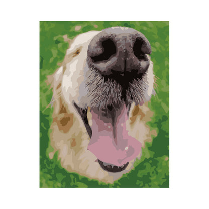 Happy Golden Retriever - 40x50 cm paint by numbers kit