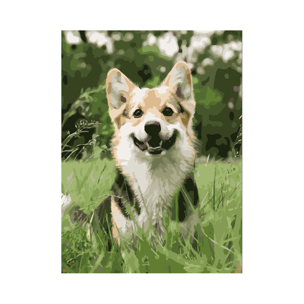 Smiling Corgi in the Grass - 40x50 cm paint by numbers kit