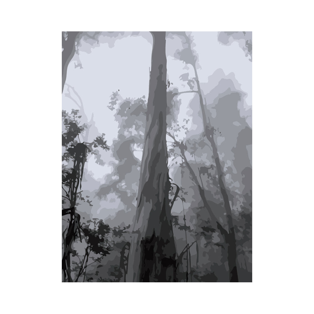 Misty Monochrome Forest - 40x50 cm paint by numbers kit