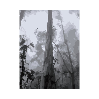 Misty Monochrome Forest - 40x50 cm paint by numbers kit