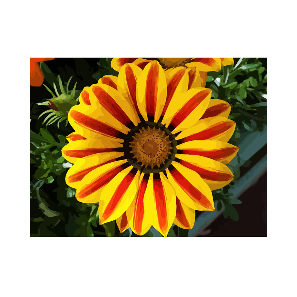 Golden Orange Flower - 40x50 cm paint by numbers kit