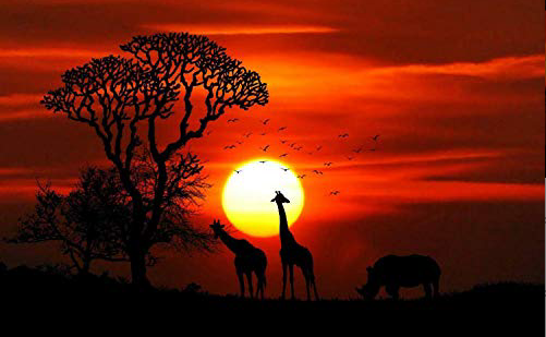 Sunset Safari Silhouette - 40x50 cm