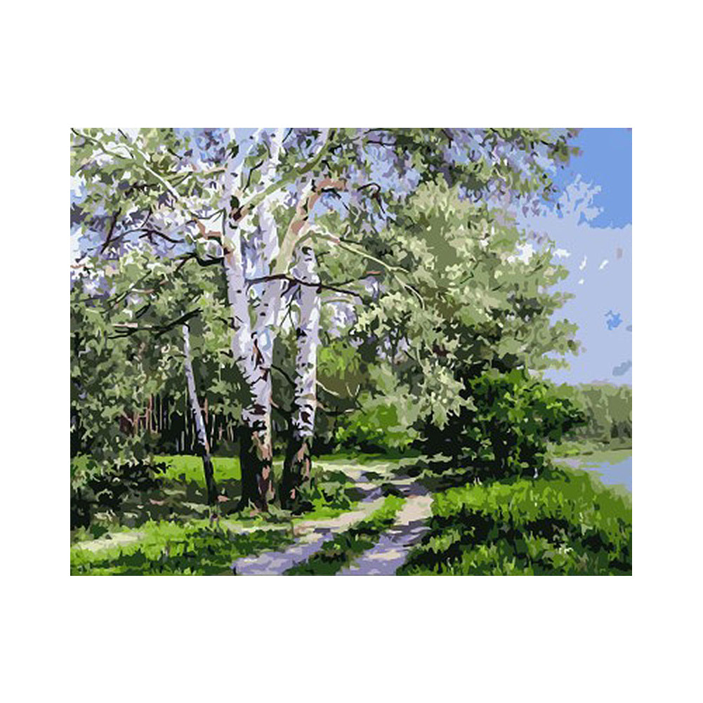 Sunlit Birch Path - 40x50 cm paint by numbers kit