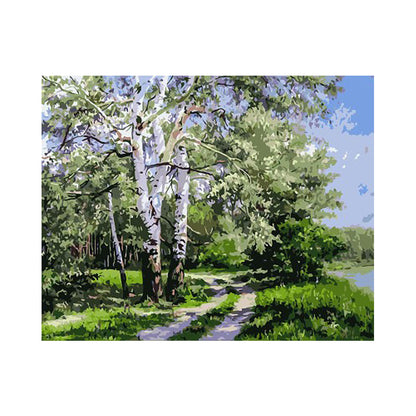Sunlit Birch Path - 40x50 cm paint by numbers kit