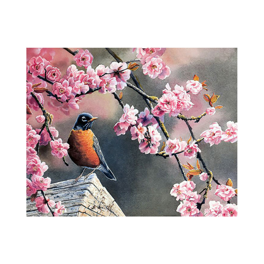 Robin Among Pink Blossoms - 40x50 cm paint by numbers kit