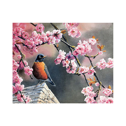 Robin Among Pink Blossoms - 40x50 cm paint by numbers kit