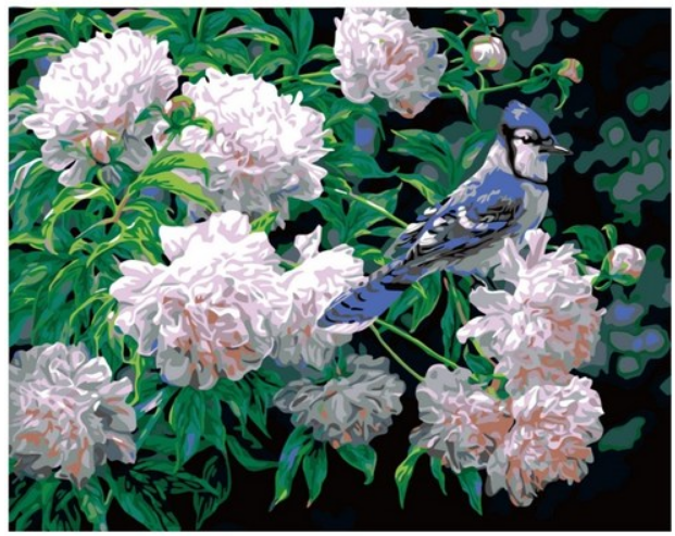 Blue Jay Among Peonies