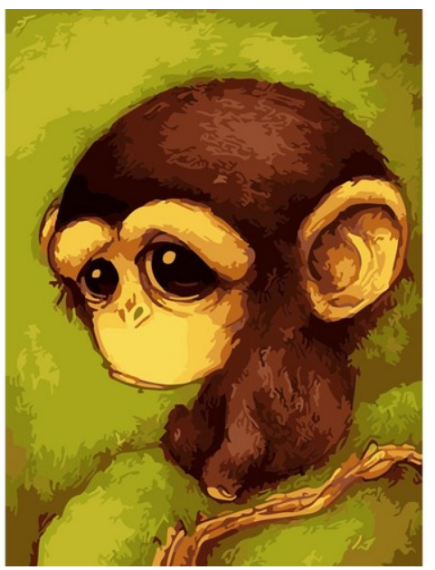 Bébé singe curieux