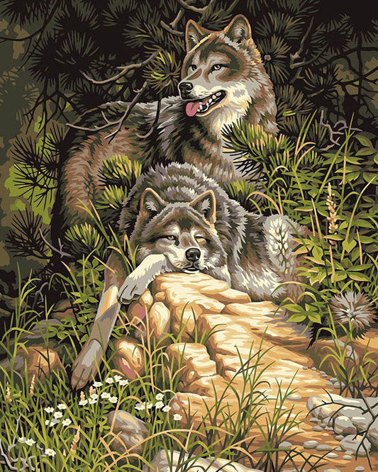Two wolves in a forest setting with a stream and foliage.