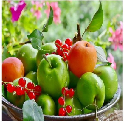 Fresh Orchard Harvest - 40x50 cm paint by numbers kit