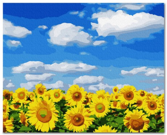 Sunflower Sky Meadow - 40x50 cm paint by numbers kit