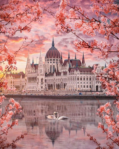 Budapest Blossom Reflection - 40x50 cm paint by numbers kit