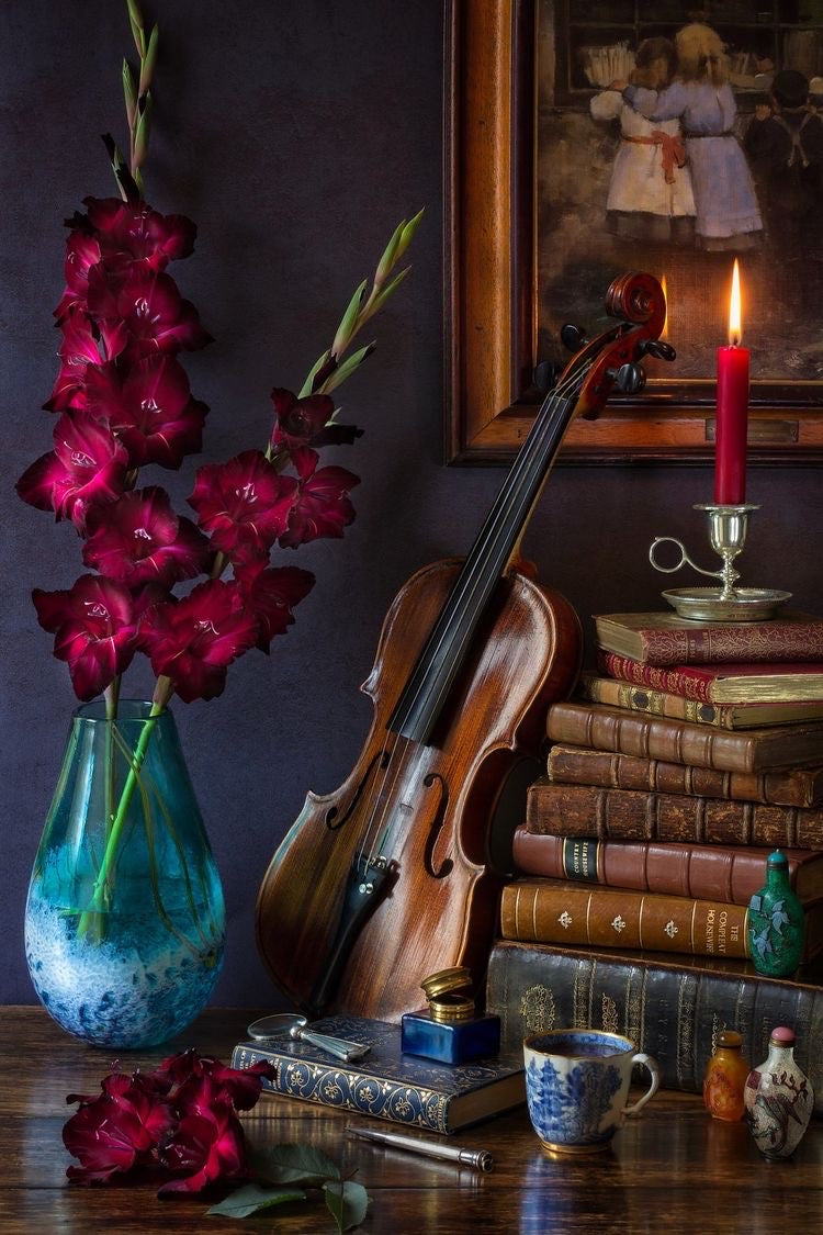 Violin and Burgundy Flowers - 40x50 cm paint by numbers kit