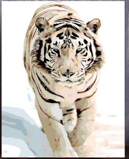 White Tiger in Snow - 40x50 cm paint by numbers kit