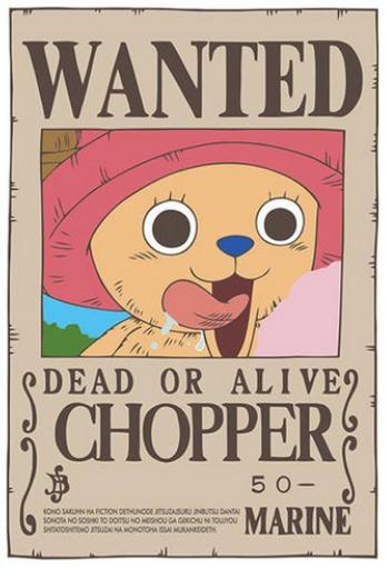 Wanted Little Reindeer Pirate - 40x50 cm paint by numbers kit