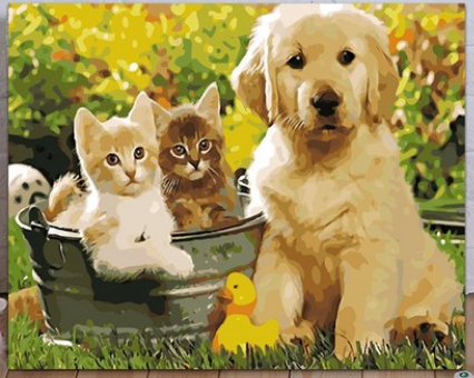 Sunny Garden Pets - 40x50 cm paint by numbers kit