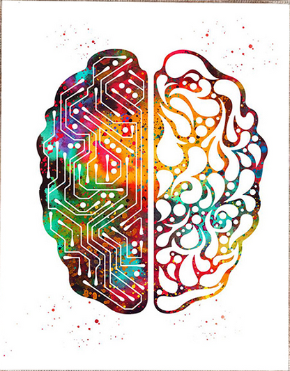 Creative Brain Spectrum