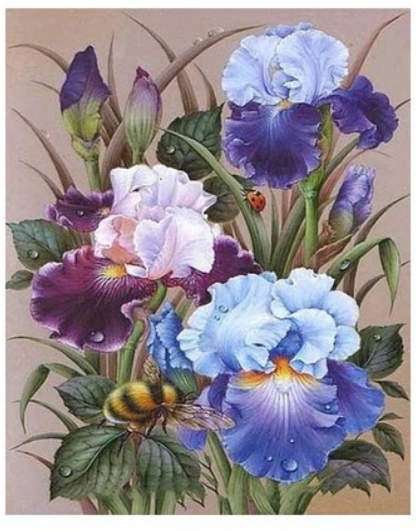 Blooming Iris and Bumblebee - 40x50 cm paint by numbers kit