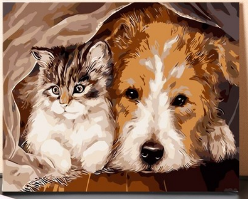 Cozy Cat and Dog Companions - 40x50 cm paint by numbers kit