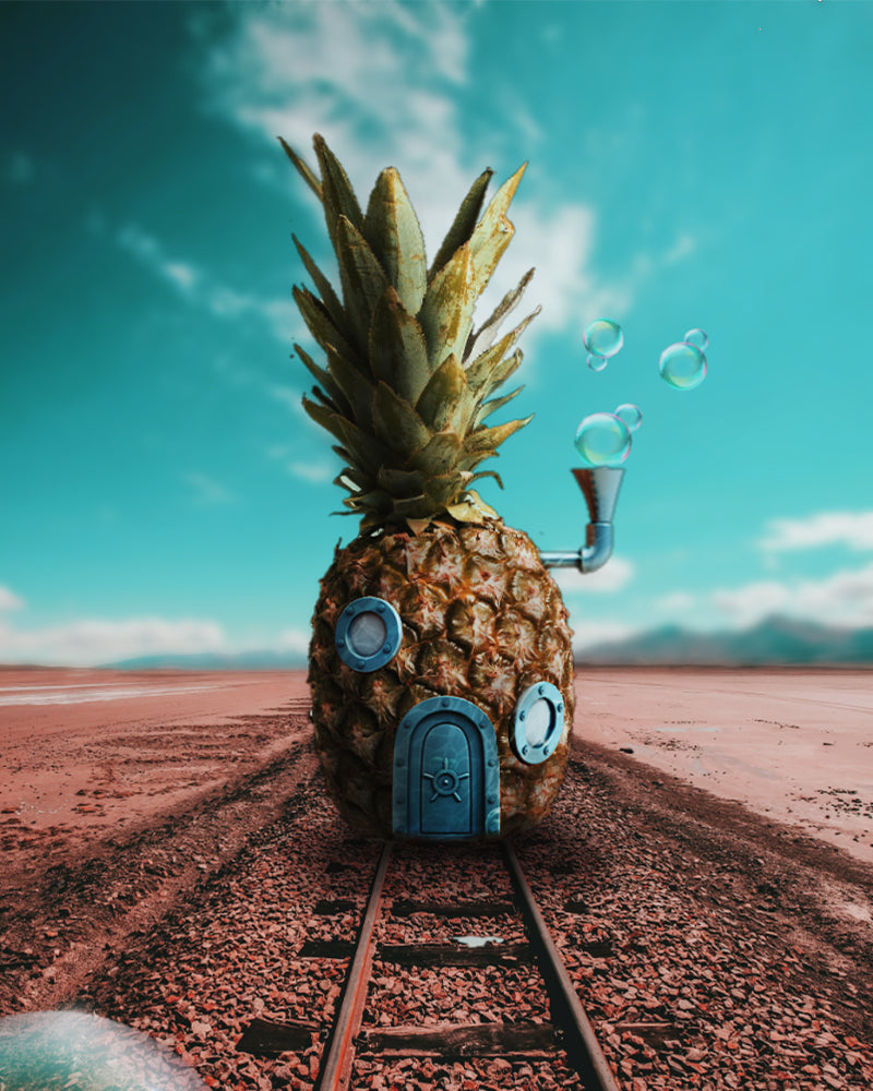 Surreal Pineapple Railway House - 40x50 cm paint by numbers kit